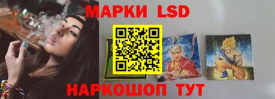 стафф Дубна