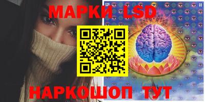стафф Дубна