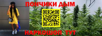 стафф Дубна