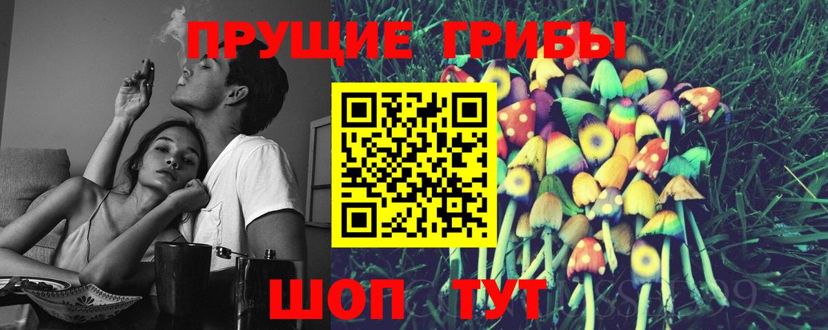 Псилоцибиновые грибы Psilocybine cubensis  Вход с VPN  Заводоуковск 